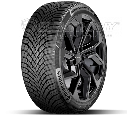 Pneumatiky CONTINENTAL Winter Contact TS 860 195/60 R16 89H