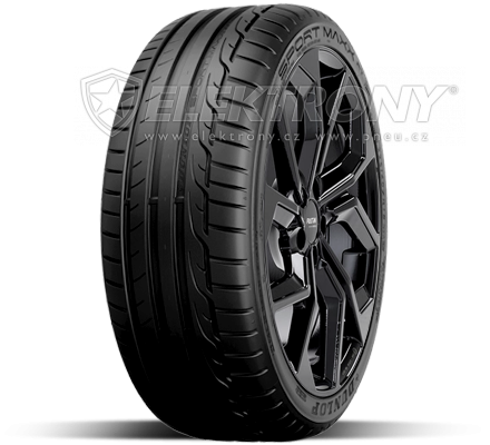 Pneumatiky DUNLOP SP Sport Maxx RT 2 SUV 265/50 R19 110Y