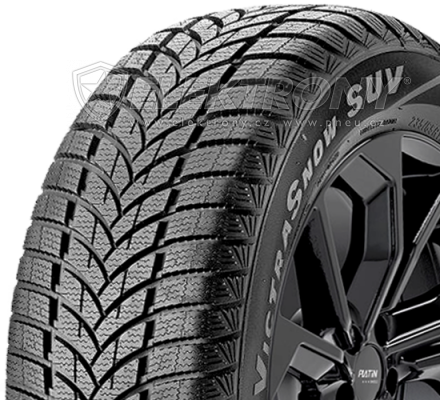 Pneumatiky Maxxis MA-SW Wintermaxx 225/70 R16 107H