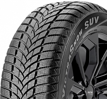 Maxxis MA-SW Wintermaxx